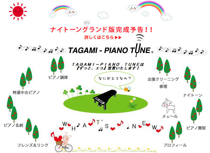 t TAGAMI-PIANO TUNE